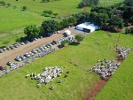 Genética aditiva promove 15º Dia de Campo