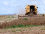 Colheita da soja se intensifica no Rio Grande do Sul
