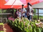Flores e cultivo protegido de plantas são apresentados na Tecnofam 2018