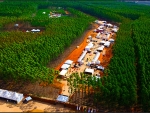 Expoforest 2018 começa em 15 dias