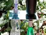 Pesquisador cria irrigador solar automático com garrafas usadas