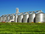 Capacidade de armazenagem agrícola cai 0,1% no Brasil