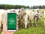 Aplicativo auxilia produtores a produzir carne com qualidade em Mato Grosso do Sul